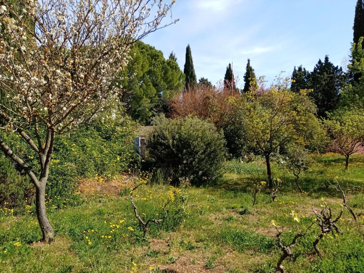 Отель Au Mas Saint Pierre Pignans Экстерьер фото
